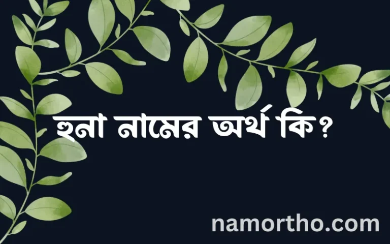 হুনা নামের বাংলা আরবি ইসলামিক অর্থ কি?