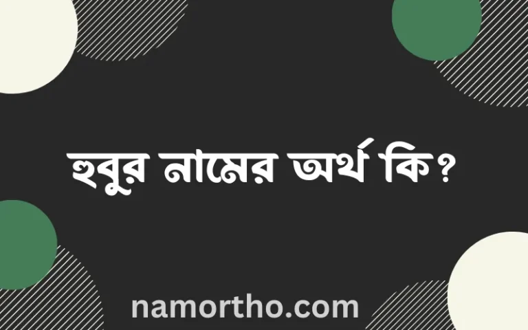 হুবুর নামের অর্থ কি? হুবুর নামের বাংলা, আরবি/ইসলামিক অর্থসমূহ