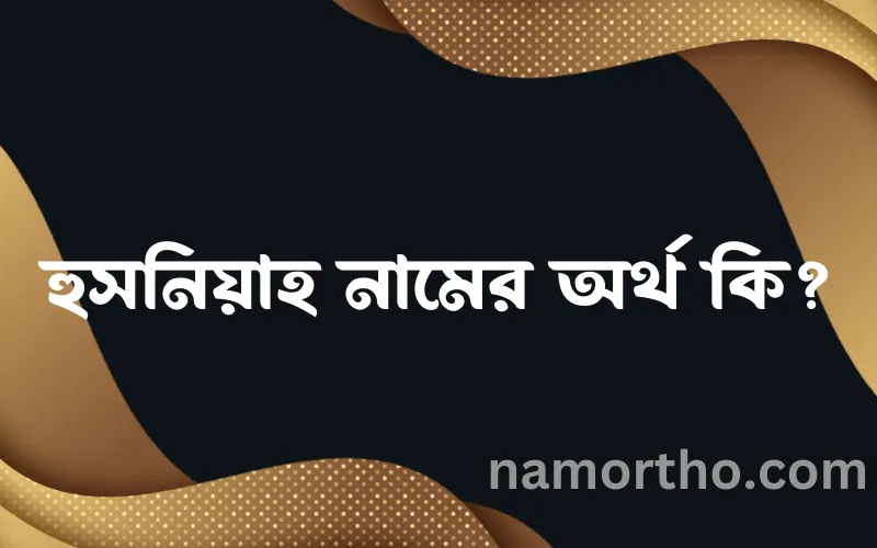 হুসনিয়াহ নামের আর্থ কি?