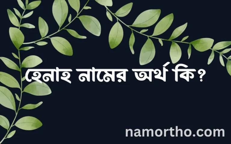 হেনাহ নামের অর্থ কি? (ব্যাখ্যা ও বিশ্লেষণ) জানুন