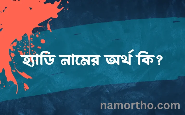 হ্যাডি নামের অর্থ কি? (ব্যাখ্যা ও বিশ্লেষণ) জানুন